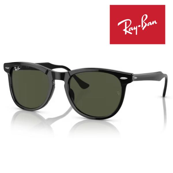 Ray-Ban（レイバン） RayBan サングラス メガネフレーム EAGLEEYE 