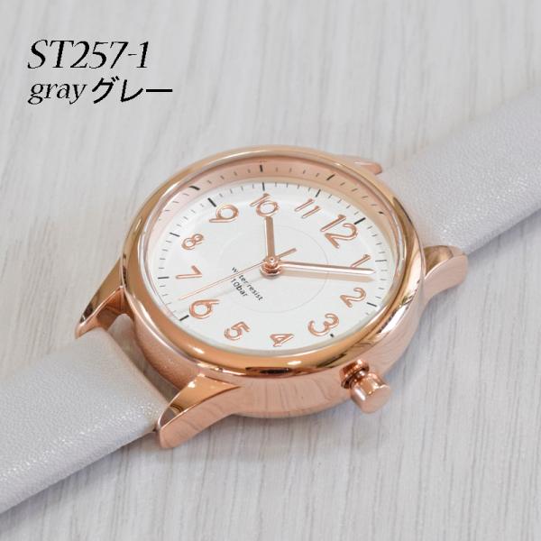 watchcrash_st257_3_d_20250523222900