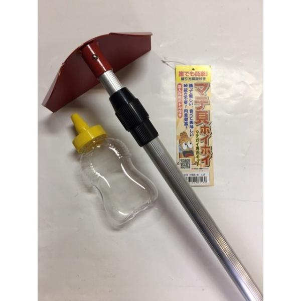 Sale 95 Off Solen 本まて貝 Shareshopマテガイ Strictus マテ貝 香川県