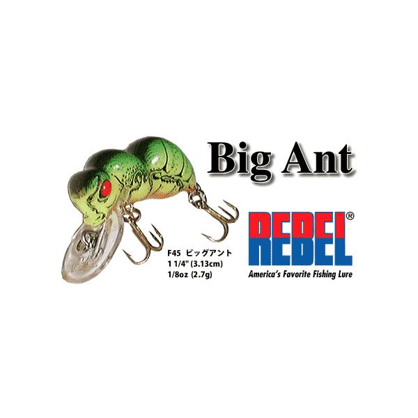 REBEL BIG ANT レーベルビッグアント : ウォーターハウス - 通販