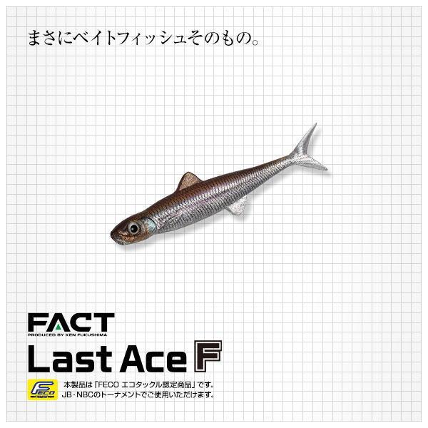 決算セール エバーグリーン ファクト ラストエース 110F 2個までメール便OK