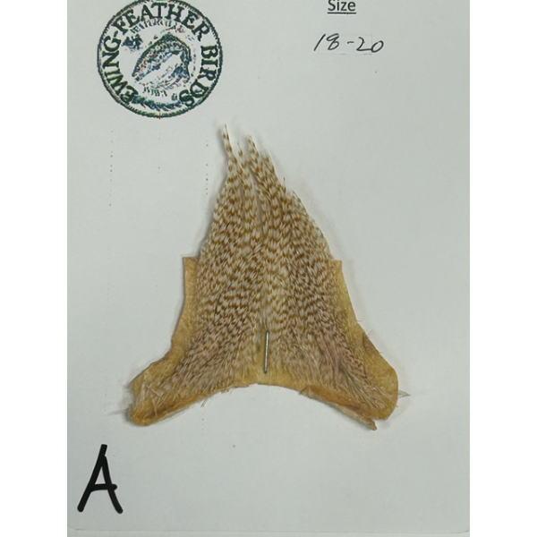 アーウイングハックルのハイクオリィティで、ロープライスでお届けする、ハックル小パックです。通常ハックルケープを1羽分買うことで手に入れられる小サイズのコックフェザーだけが生えているネック部分のパッチです。メッツや、ホワイティングのような高性...