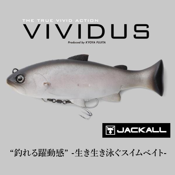 9 クロジャッカル　ヴィヴィダス2つセット JACKALL（ジャッカル） ヴィヴィダス : ウォーターハウス - 通販