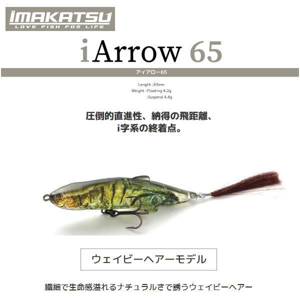 IMAKATSU（イマカツ） iArrow65 ウェイビーヘアーモデル スタンダード