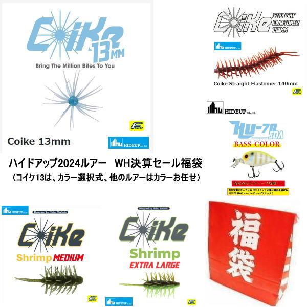 HIDEUP（ハイドアップ） ハイドアップ2024ルアー WH決算セール福袋