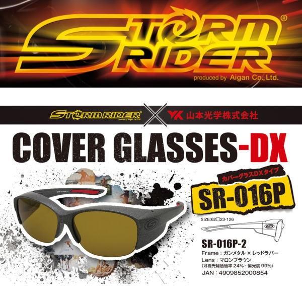 愛眼 ストームライダー Sr 016p 2 カバーグラスdx ウォーターハウス 通販 Yahoo ショッピング