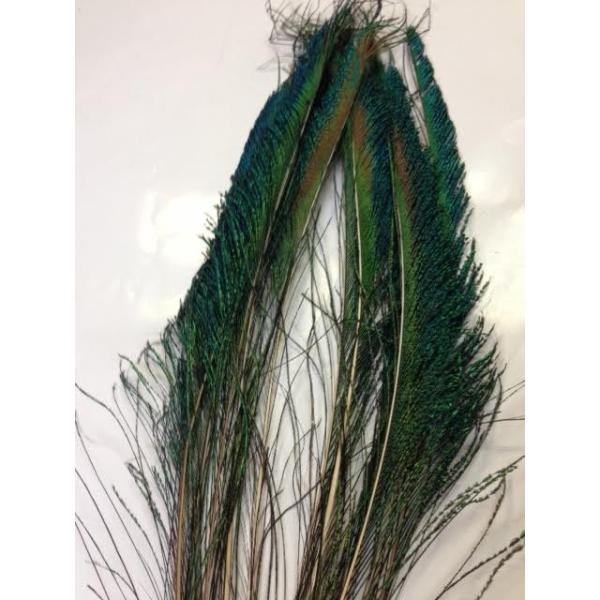 コエポン　ピーコックソード200本 ピーコックソード 6pairパック : ウォーターハウス - 通販 - Yahoo