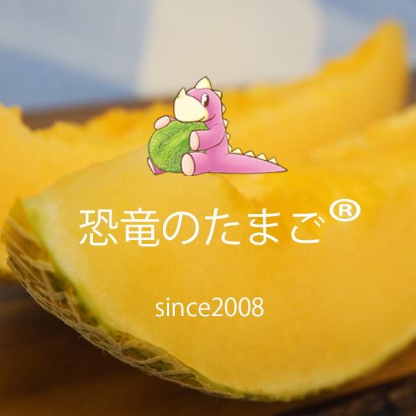 恐竜のたまご Dino01 ワトム ヤフー店 通販 Yahoo ショッピング