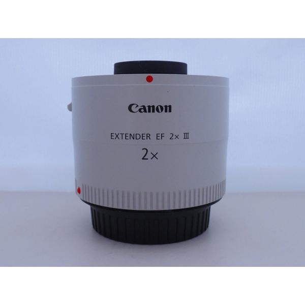 キヤノン Canon テレコンバーター EXTENDER EF 2x III : ワットマン