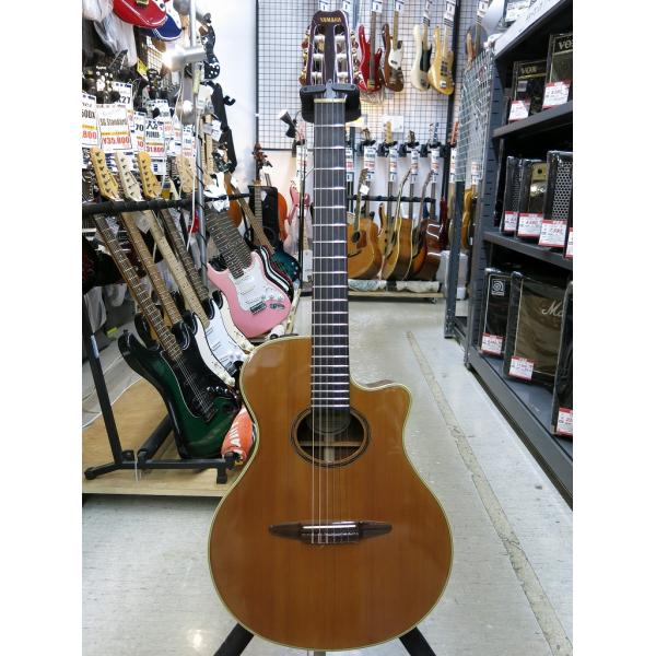 ヤマハ YAMAHA エレクトリック クラシックギター APX-9NA : ワットマン