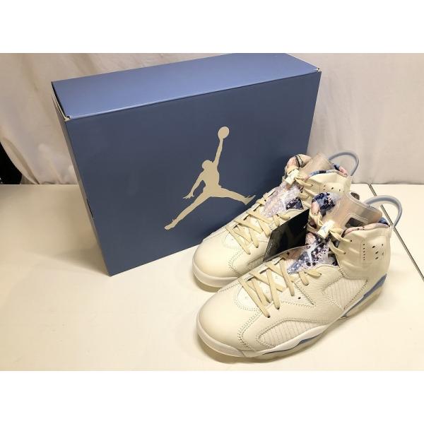 ナイキ NIKE AIR JORDAN 6 RETRO ２９ｃｍ IR7255-110