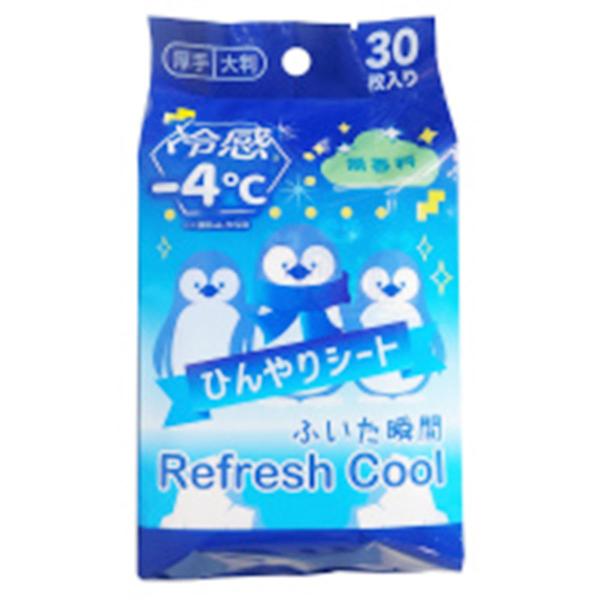 拭くだけで肌温度が4℃下がるひんやりシートです。たっぷり30枚入りなので気兼ねなく使用できます。30枚。【材質】不織布、プラ【JAN】4972453418267【パッケージサイズ】45×92×175mm【関連キーワード】