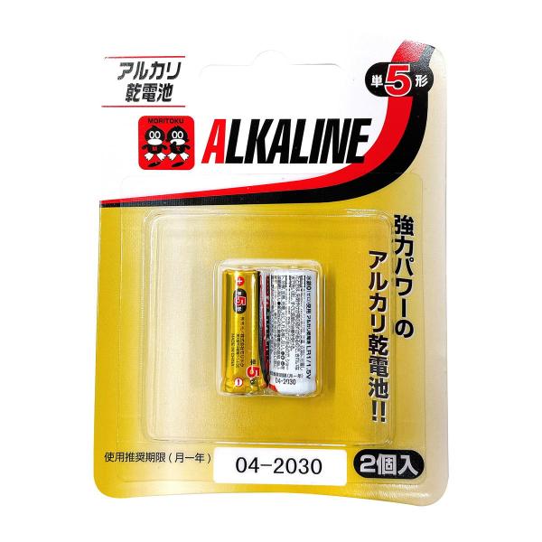 まとめ買い100個セット アルカリ電池 アルカリ電池 単5形 2本入0808/362411