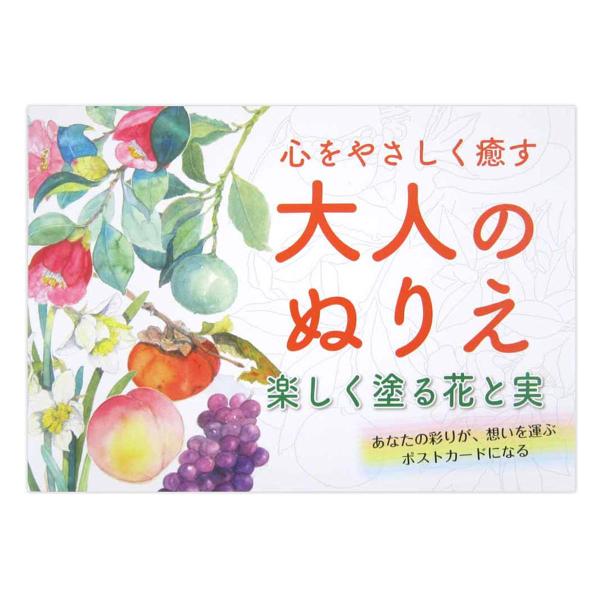 まとめ買い100個セット 大人のぬりえ 楽しく塗る花と実 0915/370464