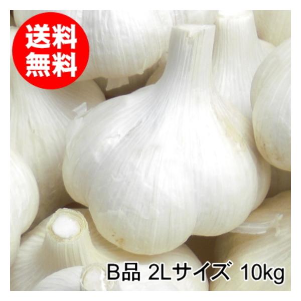 【スーパーセール】青森県産にんにく 2L 10kg 福地ホワイト六片 激安 お得 にんにく 青森 国産 2Lサイズ 10kg B品 福地ホワイト六片 : みちのく処
