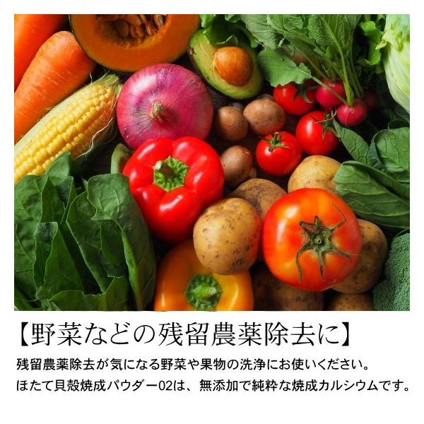 野菜洗い 農薬除去 洗濯槽用ホタテパウダー 1kg ケース入り Buyee Buyee 日本の通販商品 オークションの代理入札 代理購入