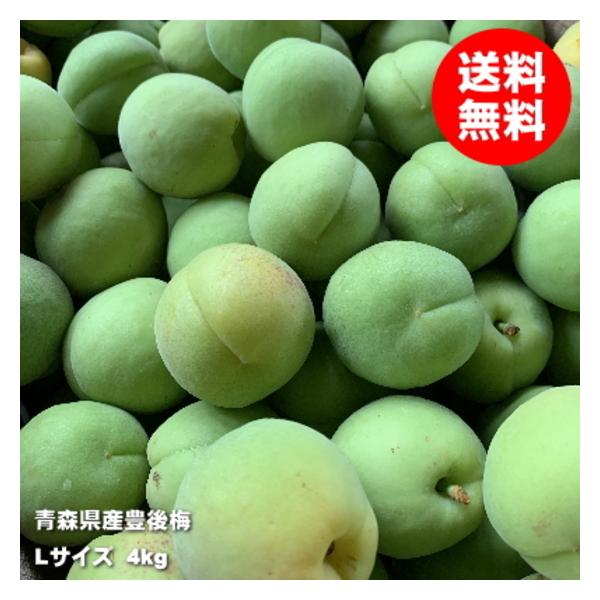 7/5収穫 完熟豊後梅10キロ 産地直送 梅酒 梅シロップ用 7/5収穫 完熟豊後梅10キロ 産地直送 梅酒 梅シロップ用 プラム食品