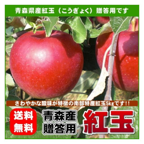 紅玉りんご 贈答用 青森県産 約5kg : みちのく処わっつど - 通販