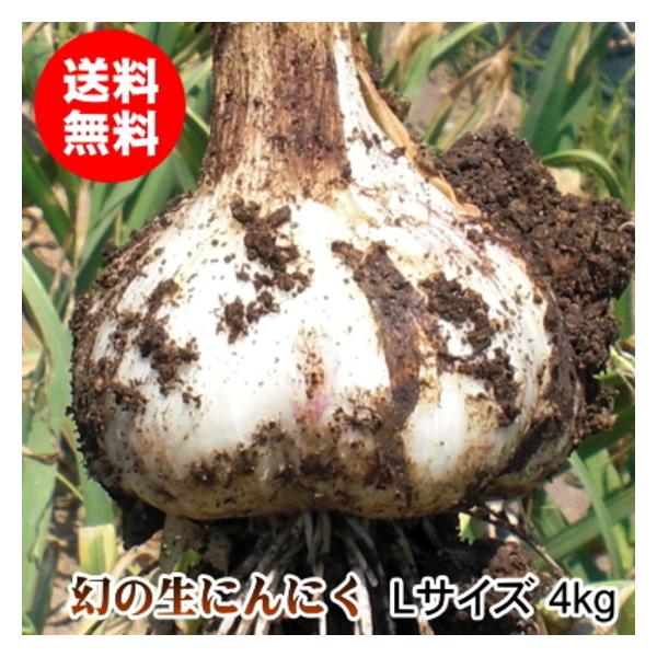 【期間限定】新物 青森県産 生にんにく A品 L 4kg福地ホワイト六片 にんにく 青森産 福地ホワイト六片種 バラ 500g 送料無料 訳