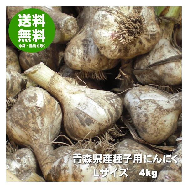にんにく 種球 種 国産 Lサイズ 4kg 青森 福地ホワイト六片 送料