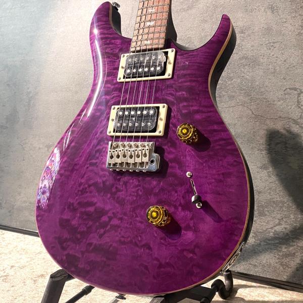 Paul Reed Smith(PRS) 【美しくも妖艶な限定カラー】SE CUSTOM 24