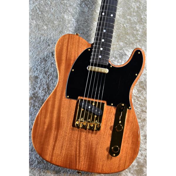 Tokai ATE-142HM テレキャスター　カタログ外スポットモデル Tokai ATE-142HM テレキャスター カタログ外スポットモデル