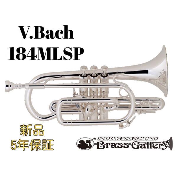 V.Bach 184MLSPy񂹁zyVizyRlbgzyobNzyV[gǁzyCG[uXxzyStradivarius / XgbhzyECh̐z