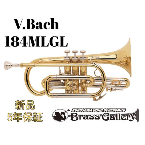 V.Bach 184MLGLy񂹁zyVizyRlbgzyobNzyV[gǁzyCG[uXxzyStradivarius / XgbhzyECh̐z