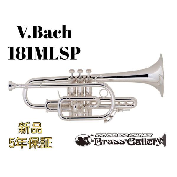 V.Bach 181MLSPy񂹁zyVizyRlbgzyobNzyOǁzyCG[uXxzyStradivarius / XgbhzyECh̐z