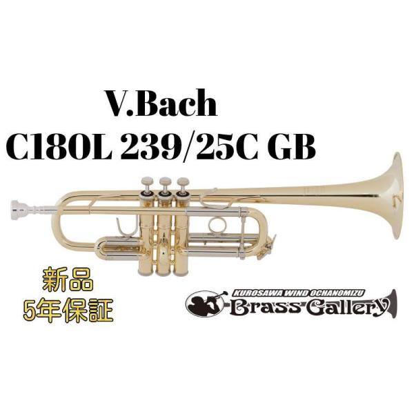 V.Bach C180L 239/25C GBy񂹁zyVizyCǃgybgzyobNzyԃfzyS[huXxzyECh̐z