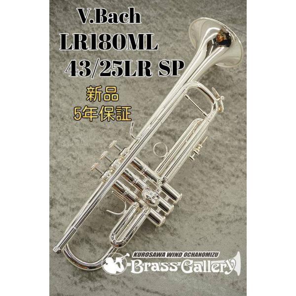 V.Bach LR180ML43SPy񂹁zyVizyobNzyRV[Y(o[Xf)zyCgEFCg{fBzy43xzyECh̐z