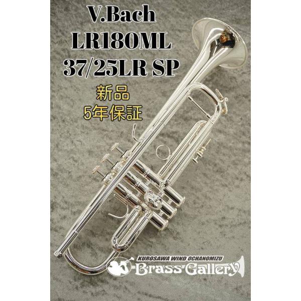 トランペット bach トランペット 37の人気商品・通販・価格比較 トランペット bach トランペット 37の人気商品・通販・価格比較