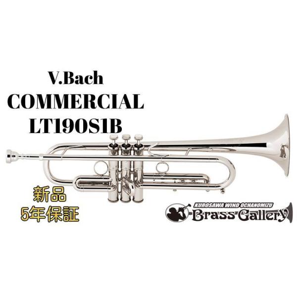 V.Bach COMMERCIAL LT190S1By񂹁zyVizygybgzyobNzyR}[VzyML{AzyECh̐z