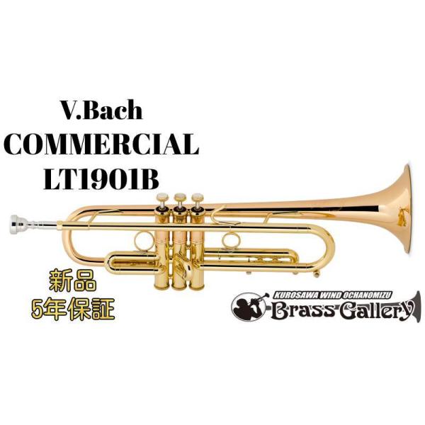 V.Bach COMMERCIAL LT1901By񂹁zyVizygybgzyobNzyR}[VzyML{AzyECh̐z