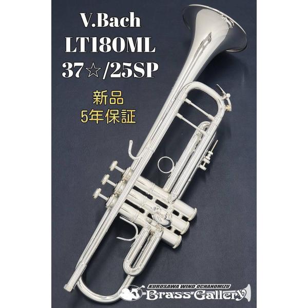 V.Bach LT180ML37/25 SPy񂹁zyVizyobNzyCgEFCg{fBzyECh̐z