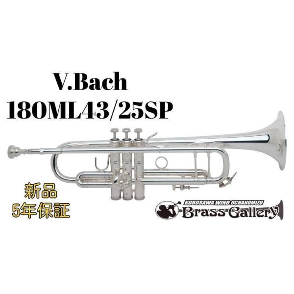 V.Bach 180ML43SPy񂹁zyVizyobNzyCG[uXxzyECh̐z