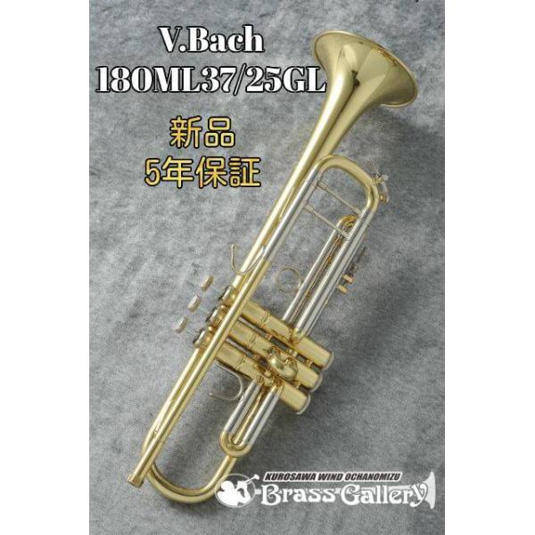 V.Bach 180ML37GLy񂹁zyVizyobNzybJ[dグzyECh̐z