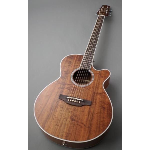 日本製 アコースティック ギターの人気商品・通販・価格比較 - 価格.com