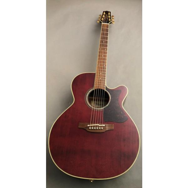 海外販売× タカミネ アコースティックギター - アコースティックギター