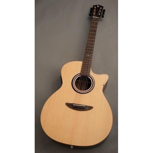 DCT 【小物セットプレゼント】GR-311CE【スプルース×マホガニー