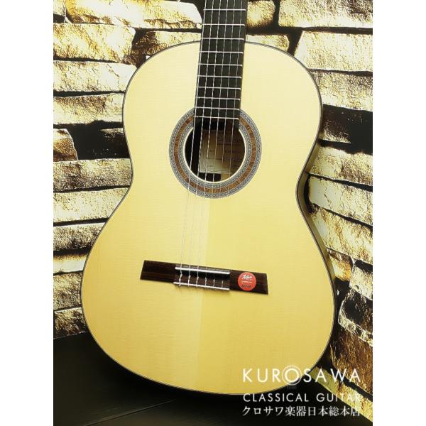 Karl Hofner カール・ヘフナー Classical Master Series HM89-S