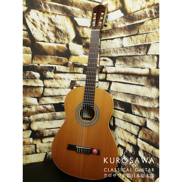 Karl Hofner カール・ヘフナー Classic Series HZ27 杉単板・ローズ
