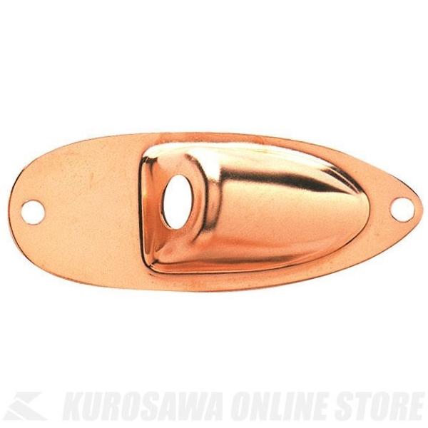 Fender [No.0991940200] Stratocaster Jack Ferrules (Gold) (XggLX^[pWbN)y\tzyONLINE STOREz