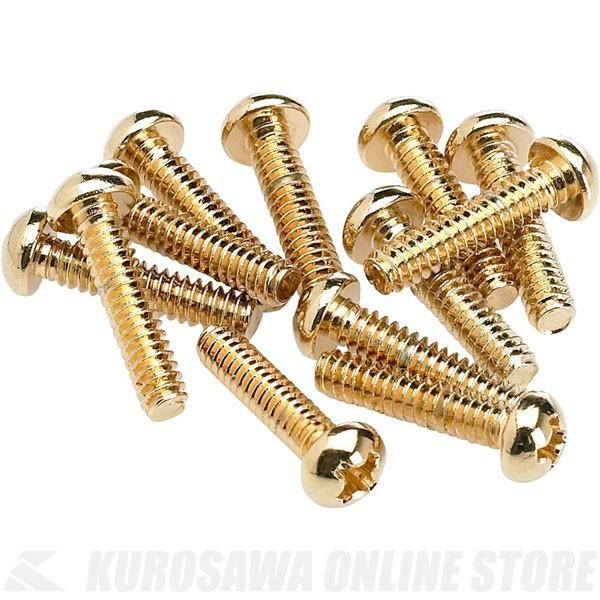 Fender [No.0994926000] Pickup and Selector Switch Mounting Screws (12 / Gold) (sbNAbv/XCb`plW)(\t)yONLINE STOREz