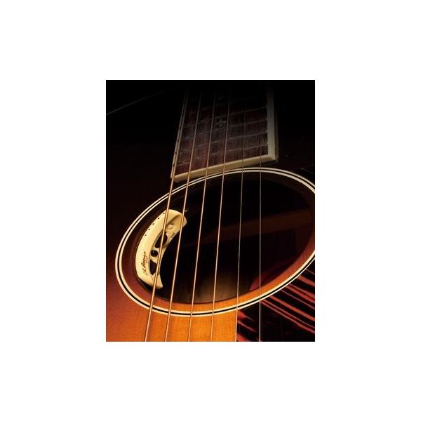 L.R.Baggs Anthem�yONLINE STORE�z