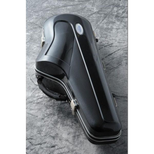 Winter JW2195CA ABS Plastic Tenor gCarbon Designg (ei[TbNXpP[X)()(}X[v[g)