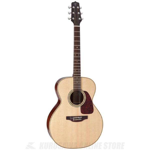 タカミネ　Takamine TS-500 アコースティックギター ギターpapa Store