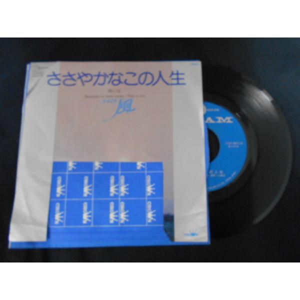 こちらはレンタル落ち・販売落ちの中古レコードになります。LPレコードは佐川急便にて発送致します。EPレコードはゆうメールにて発送致します。複数ご購入いただいた場合は佐川急便での発送へと変更になる場合もある為、送料に変動がございます。商品の内...