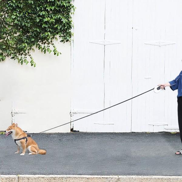 犬 散歩ペット グッズ 伸縮 リード 伸びる 丈夫 自動 巻き取り 伸縮性 猫 長い 3m 5m 春 夏 秋 冬 軽い 軽量 ペット用品 便利 いぬ ねこ Dog Cat 0501 Wavy スポーツ用品 通販 Yahoo ショッピング