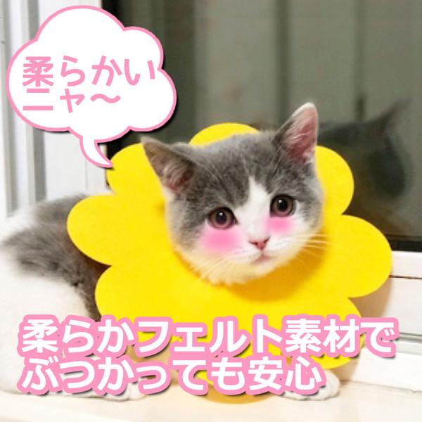 猫 ソフト エリザベスカラー フェルト やわらかい 猫用 カラー 5枚